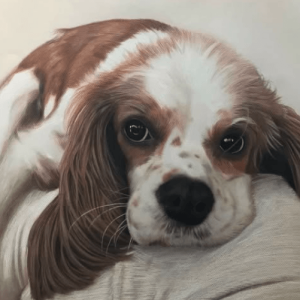 Fotoğraftan köpek tablosu, El yapımı köpek portresi, Kişiye özel köpek tablosu, Kuş Adam Sanat köpek yağlıboya portresi